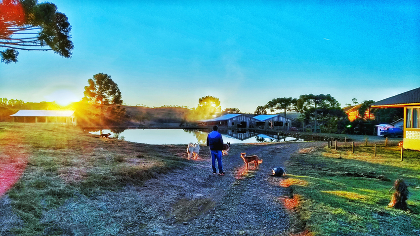 IMG_20170719_172927865_HDR-01A