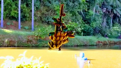 IMG_20170719_095242032_HDR-EFFECTSA