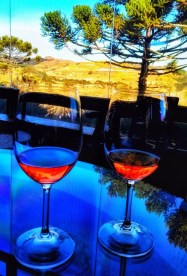 IMG_20170720_114738725-01A