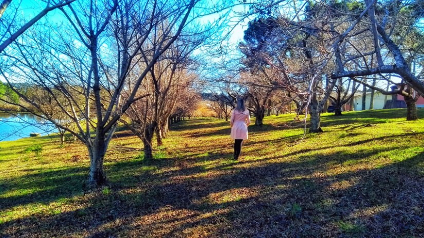 IMG_20170720_143946397-01A