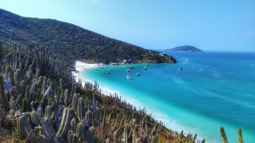 IMG_20170929_143146721-01