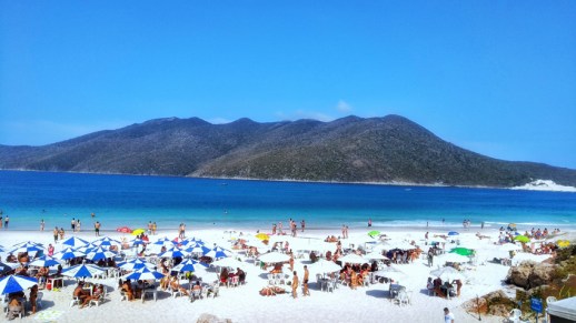 IMG_20170929_144116030-01